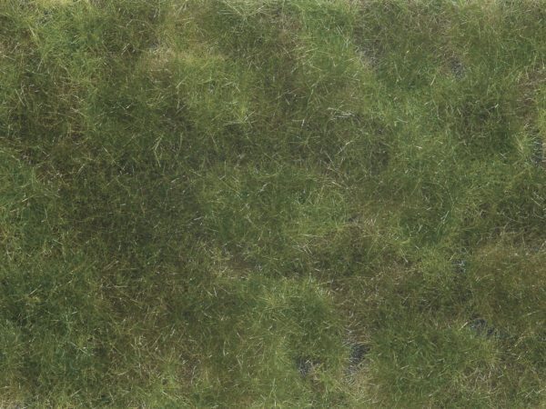 Noch 07251 <br>Bodendecker-Foliage olivgrün | 07251 1