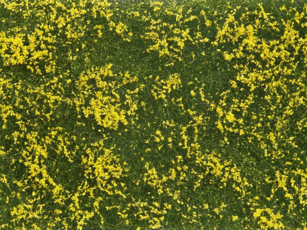 Noch 07255 <br>Bodendecker-Foliage Wiese gelb | 07255 1