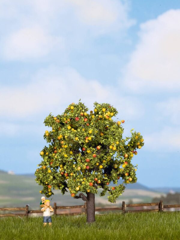 Noch 21560 <br>Apfelbaum mit Früchten