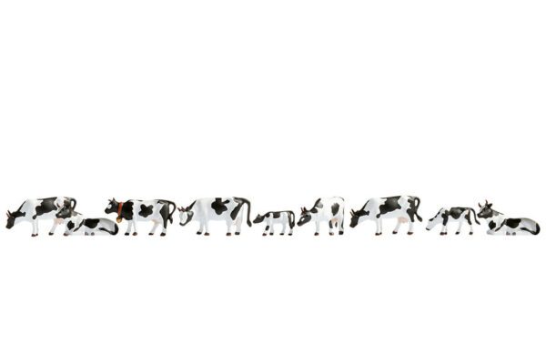 Noch 36721 <br>Kühe, schwarz-weiß | 36721 F 1
