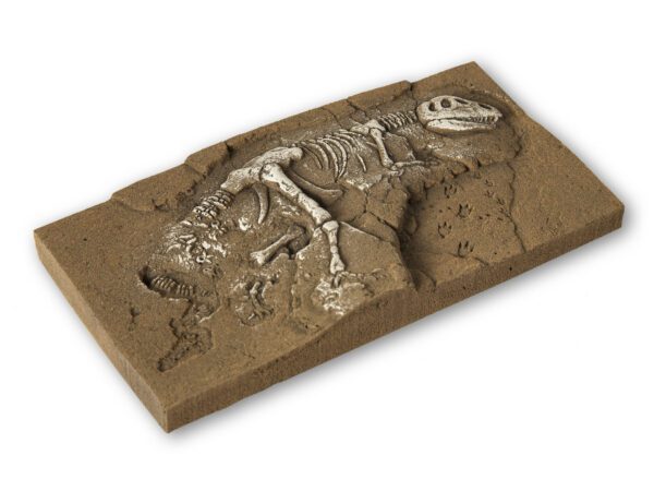 Noch 58614 <br>Dinosaurier T-Rex Ausgrabung | 58614 T Rex 1